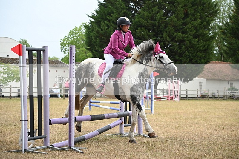 WJ6_0087 - Class 13 Novice Jumping 60cm
