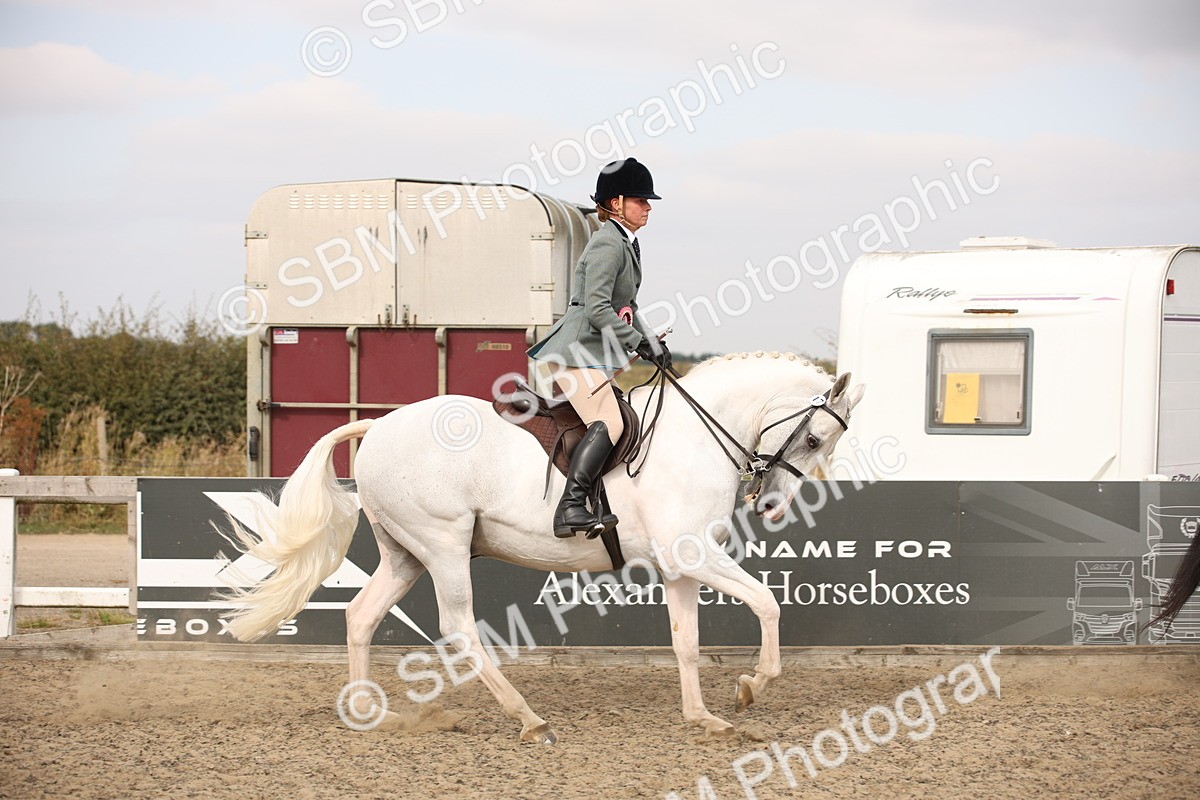 SBM_16246 - Class 409a - Working Veteran 80cm (15-19)