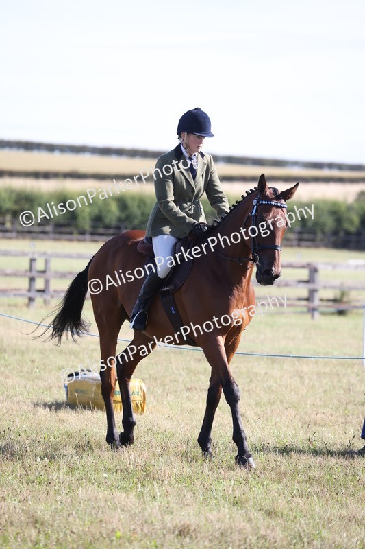 20260906-0344 - Class 14 - Ex Racehorse