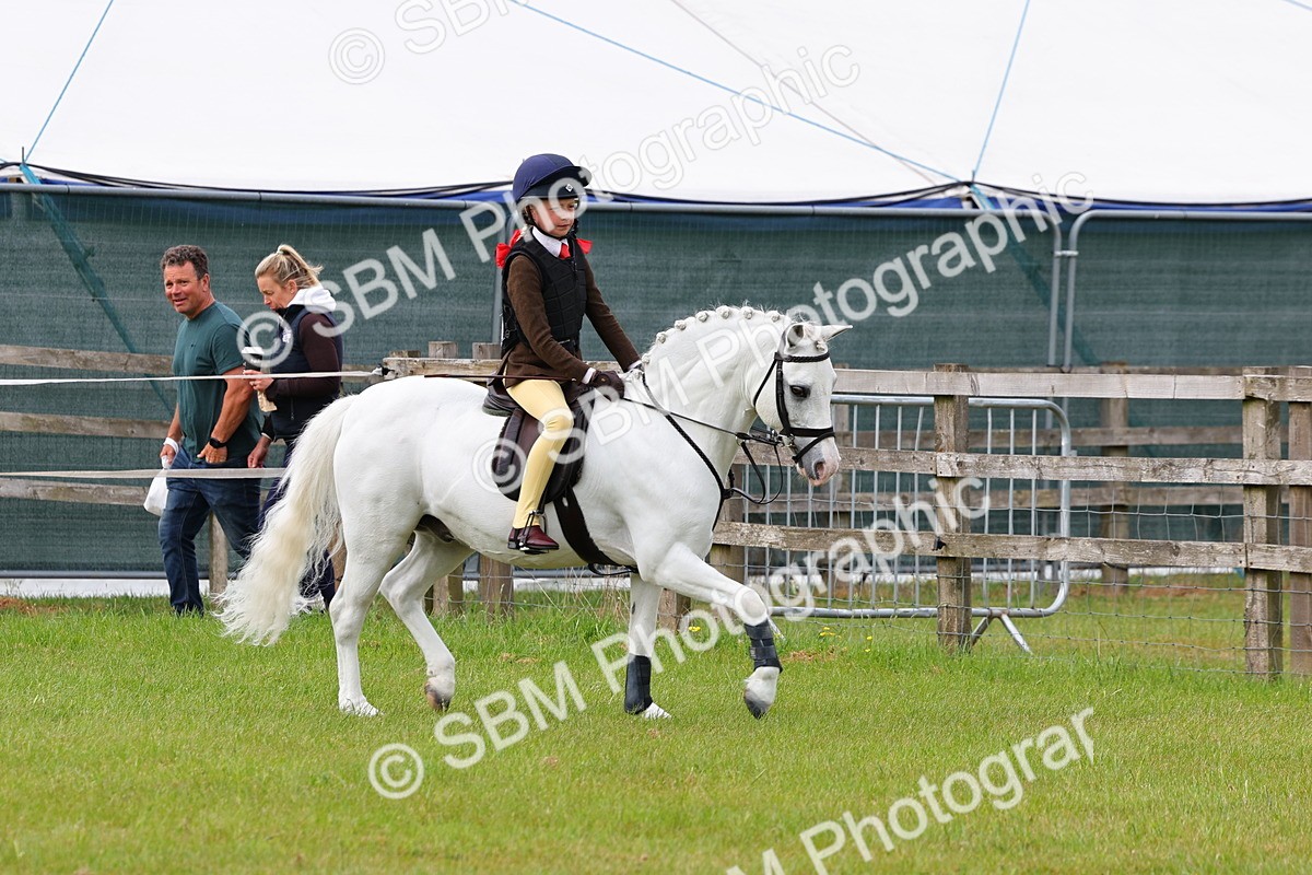 SBM_09582 - Class 44-45 - LIHS BSPS Open Nursery and Cradle Stakes