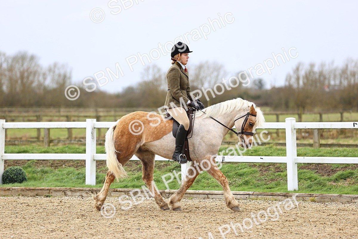 SBM_006892 - Class 29 - 30 - M&M Pure Novice Small-Large Breeds