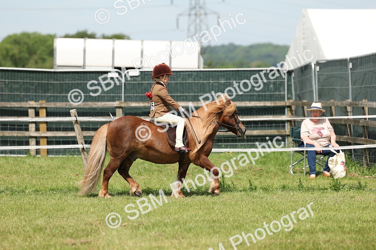 SBM_05329 - Class 24-25 - Mountain & Moorland In Hand Lead Rein and First Ridden