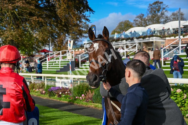 141023-Race 4-Colorada Dancer-9026 - Race 4 3.05pm Coral Racing Club EBF Maiden Stakes