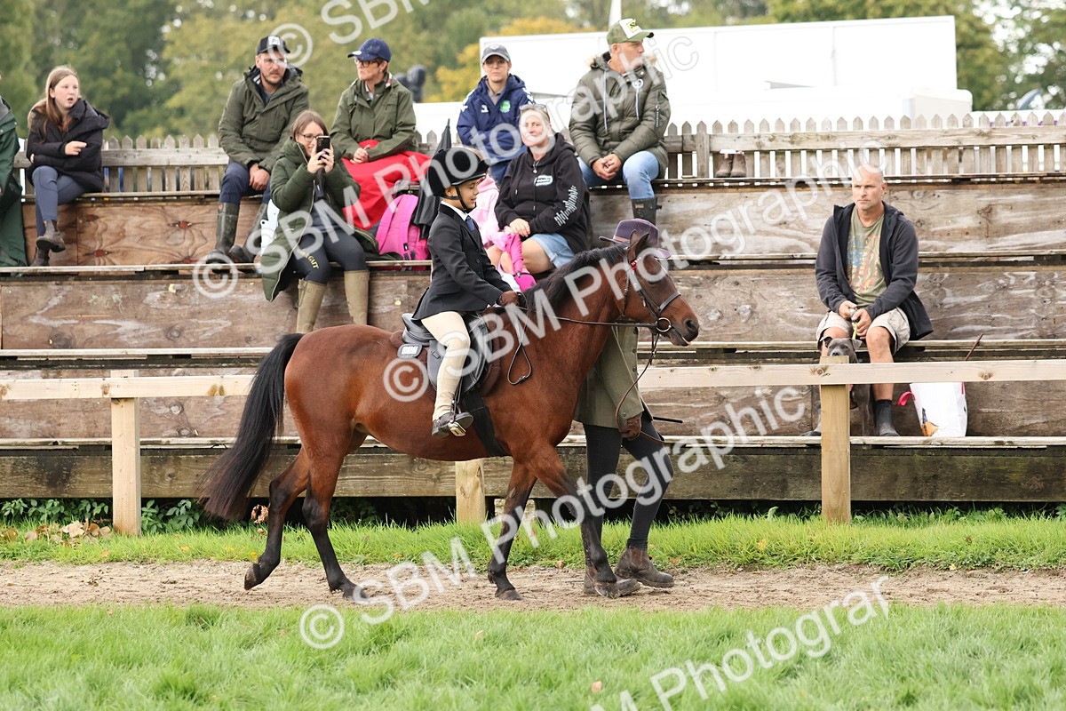SBM_44931 - S27 - Young Veteran Ridden