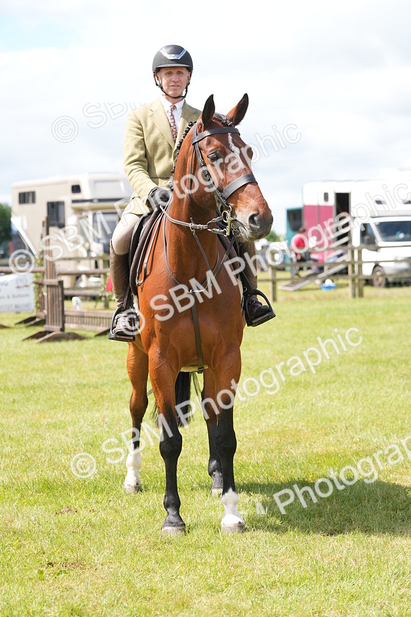 SBM_15059 - Class 100-102 - RIHS Working Hunter
