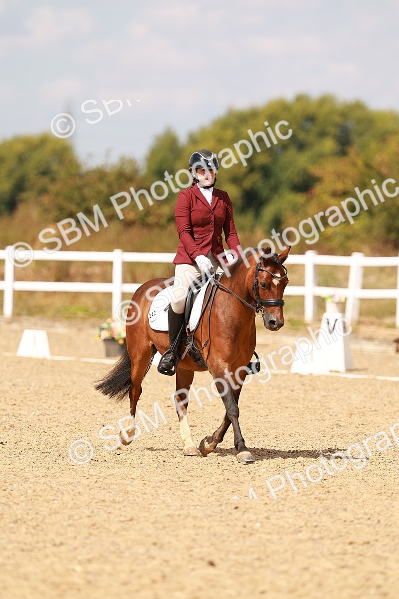 SBM_018611 - Class 9 - N5 Bronze 11.57.13.07