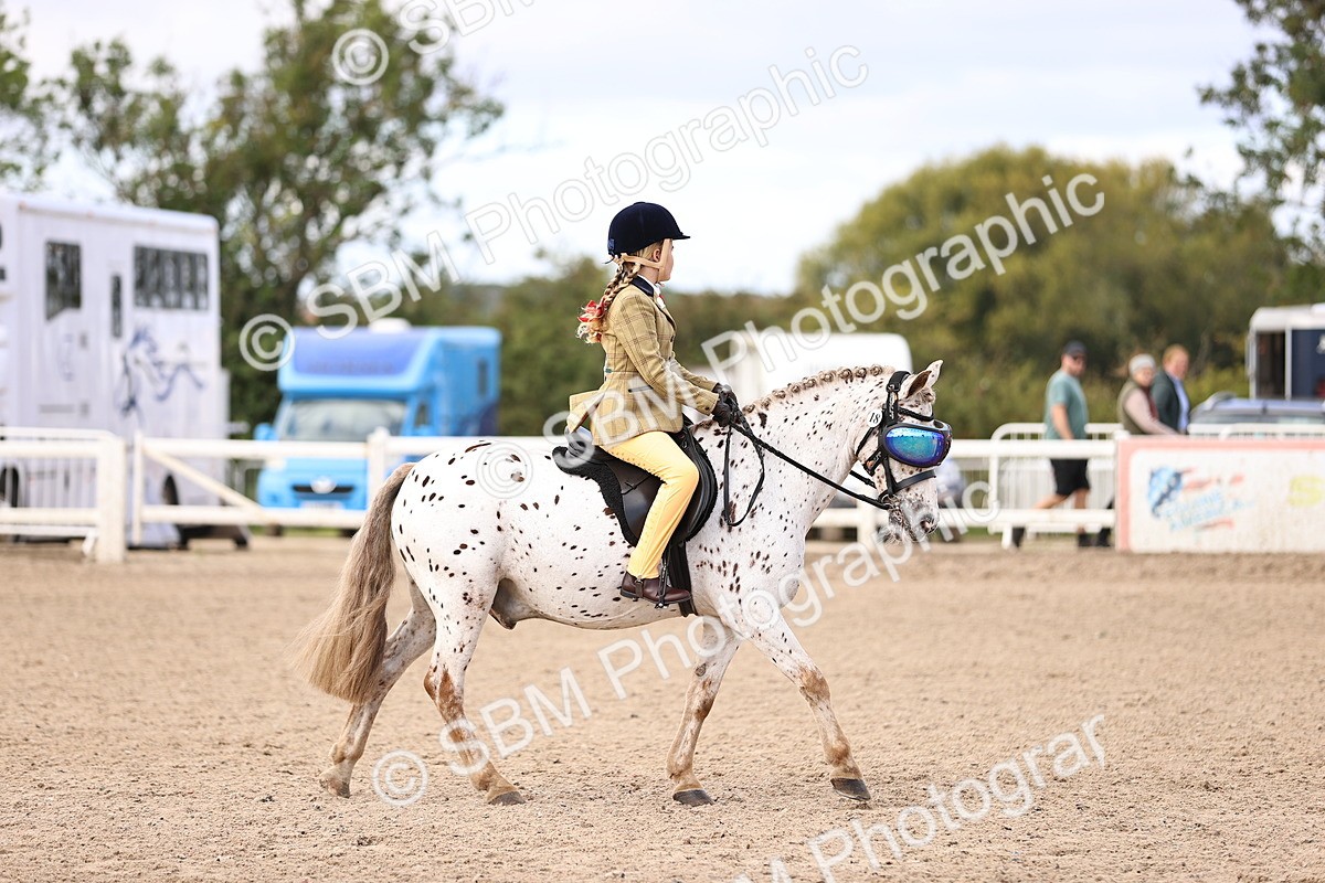 SBM_12823 - Class 409 - Grassroots Ridden - Pony