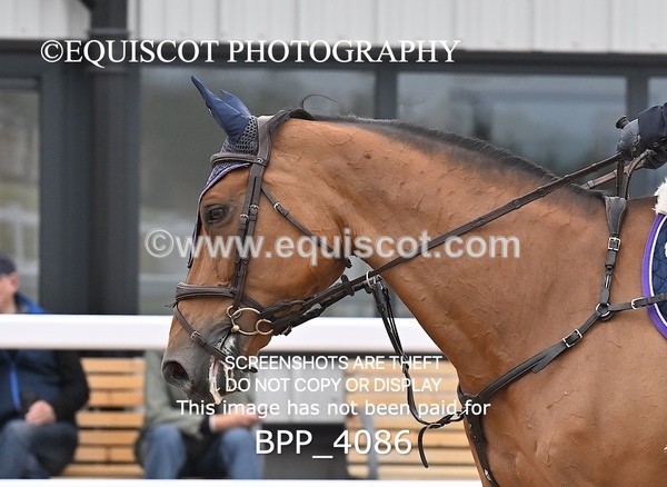 BPP_4086 - CLASS 3 WED GFS Saddles Senior Newcomers/1.10m Open