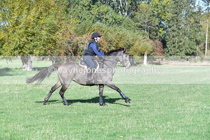 WJ5_7655 - Time 10:31 to 12:01