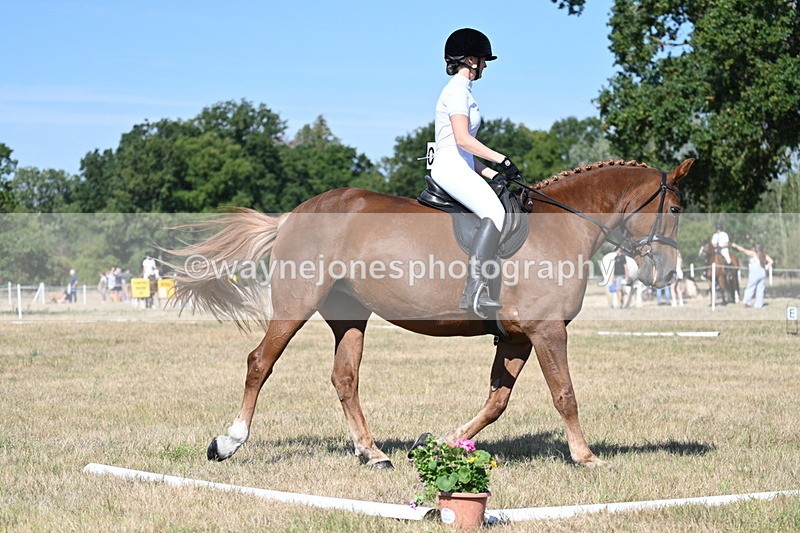 WJ7_0014 - Time 11:03 to 11:28