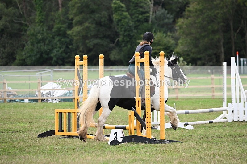 WJ6_0445 - 40cm Time 10:29 to 10:52