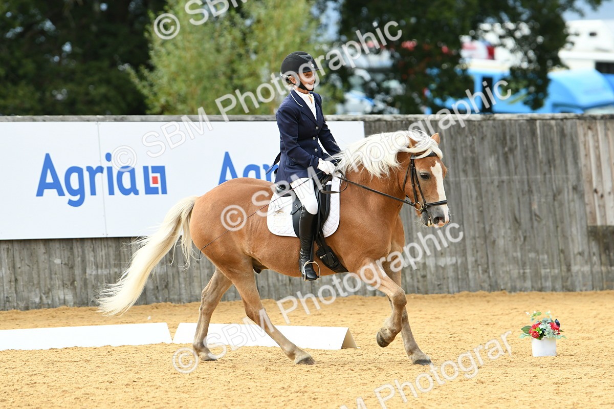 SBM_10911 - D28 Elementary Taster Elementary 42