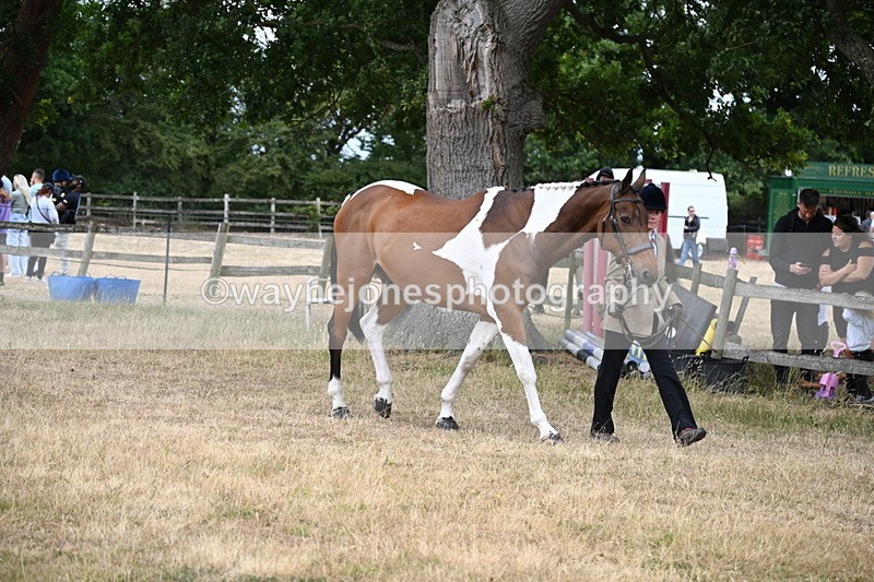WJ6_8133 - Class 10 Coloured in Hand