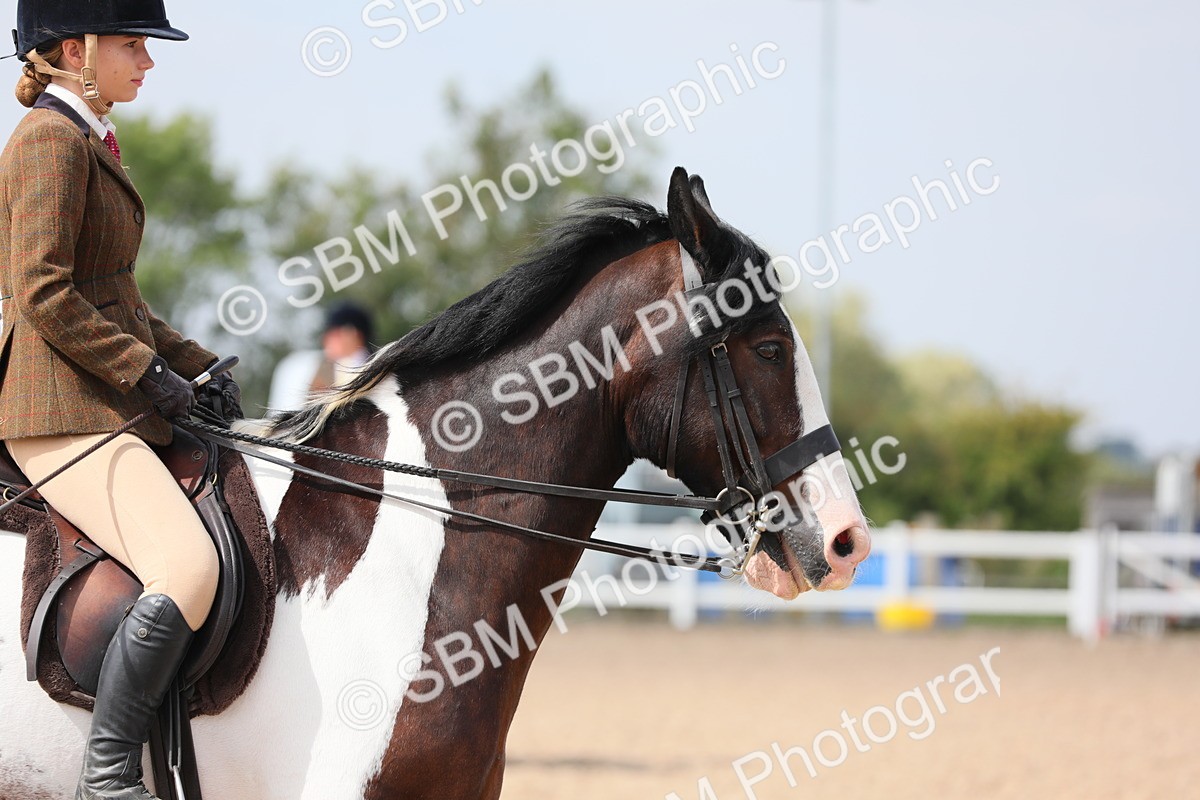 SBM_13428 - Class 308 Ridden Coloured Horse