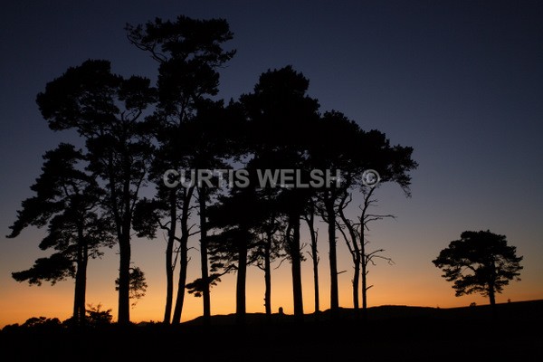 57 - SCOTTISH BORDERS
