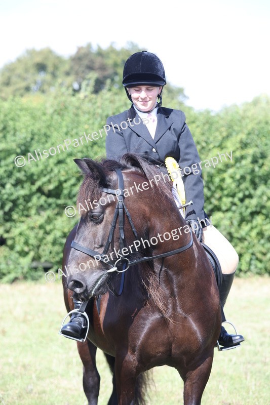 20250831-2560 - Class 16 - Family Pony