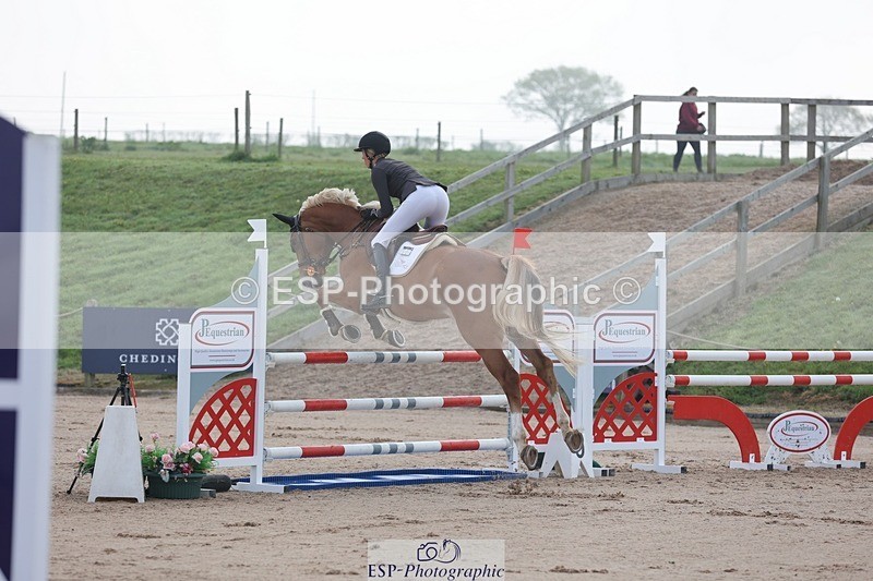 250424-083912-02434 - Cls 25 Young Horse 5yr old