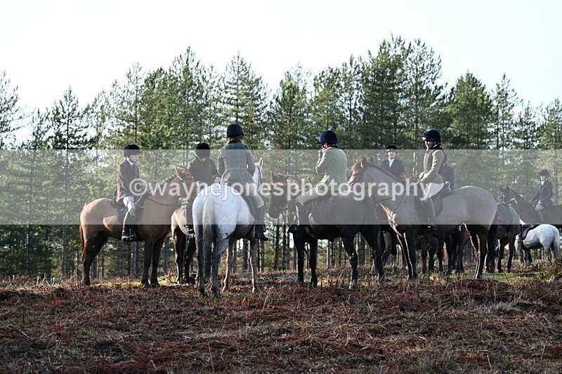 WJ7_7460 - Line 3 (no line 4 or 5)