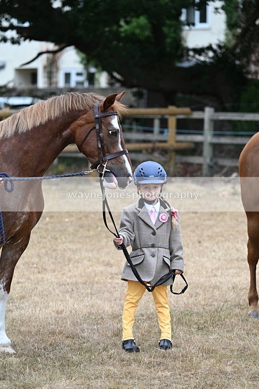 WJ7_8127 - Class 4 Prettiest Mare up to 14.2hh