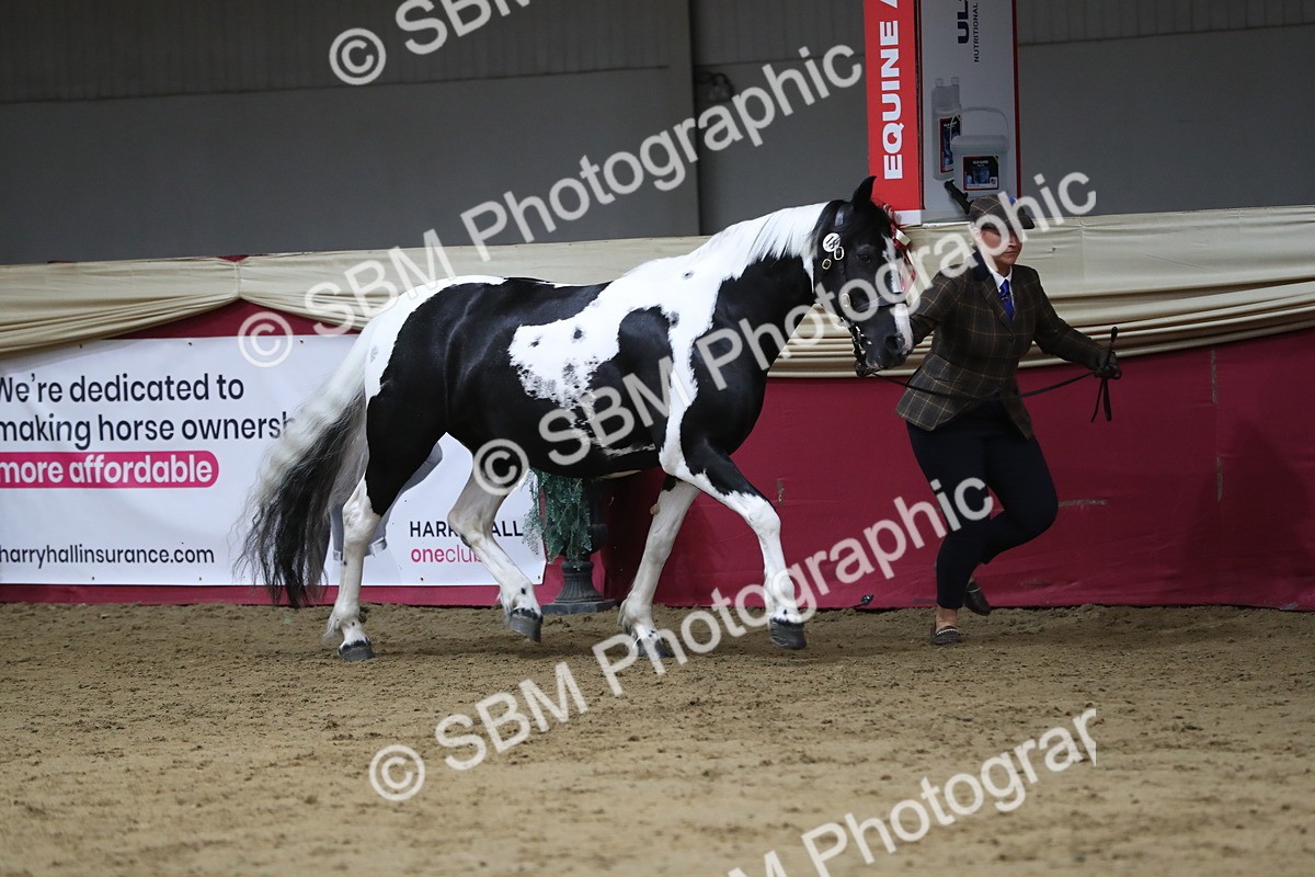 SBM_06305 - Class 9R Regional- IH Pre Vet
