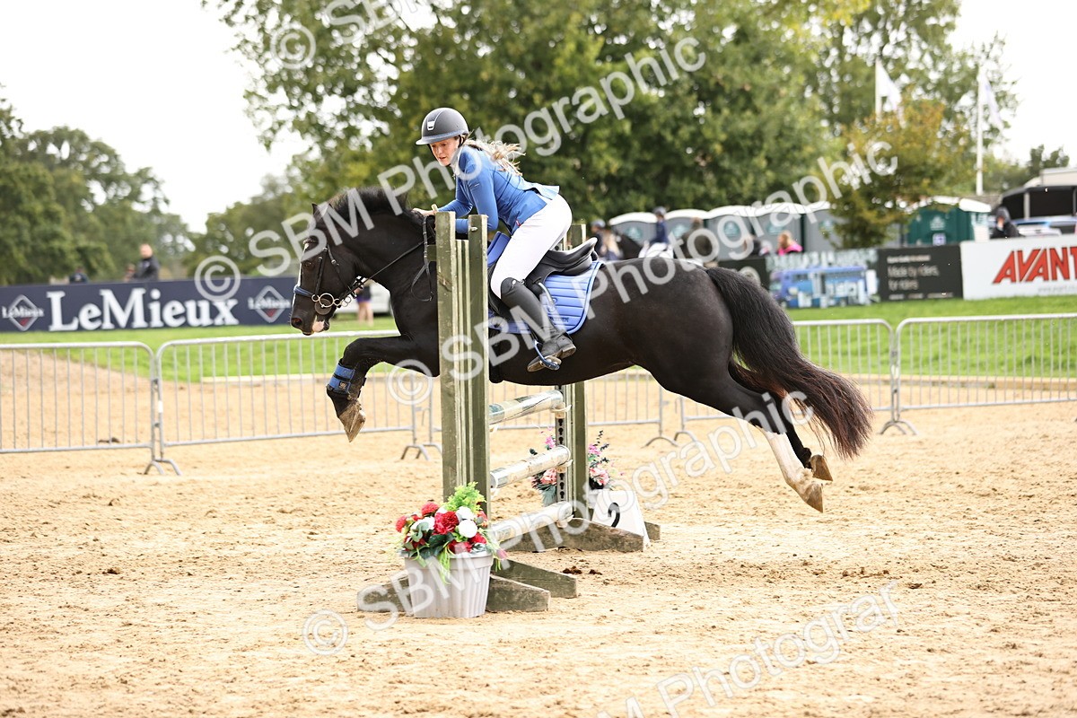SBM_42008 - J40 Senior Horse & Pony 90cm Supreme Championship
