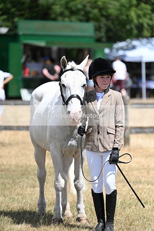 WJ7_2240 - Class 5 Most Handsome Gelding (up to 14.2hh) in hand