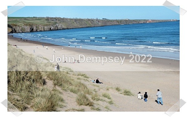 Lunan Bay on a Spring Day - Places Around Montrose