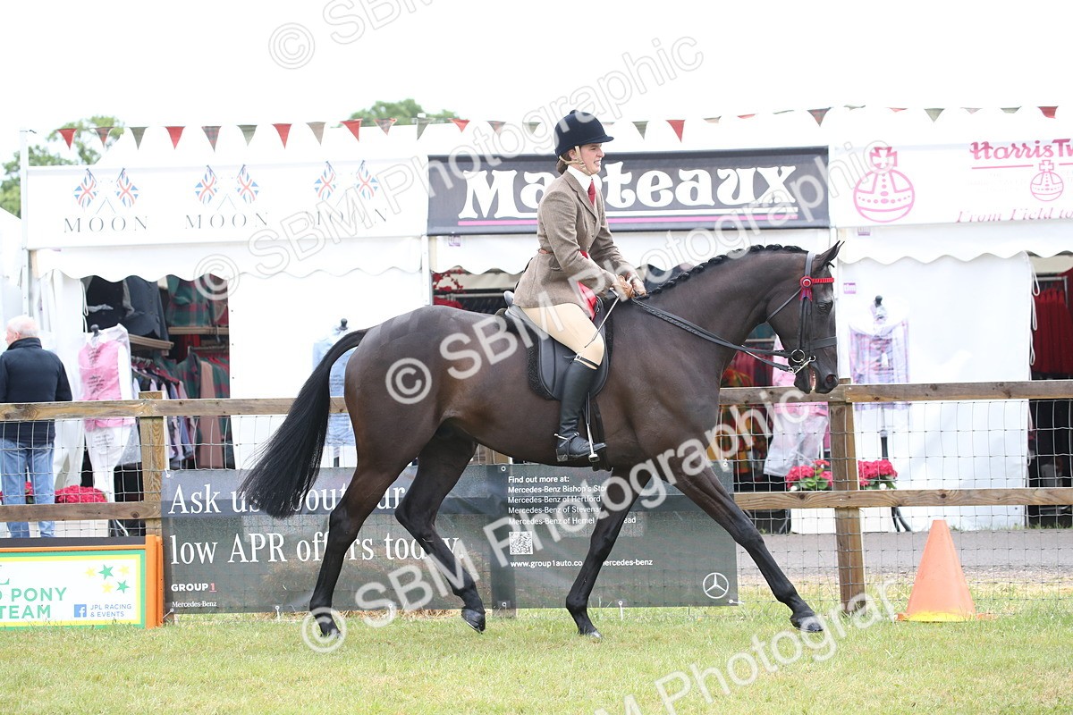 SBM_11478 - Class 94 - LIHS BSHA Racehorse to Showhorse