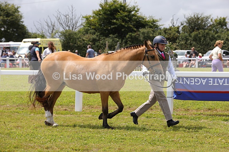 1X9A4894 - Class 35: Veteran In Hand