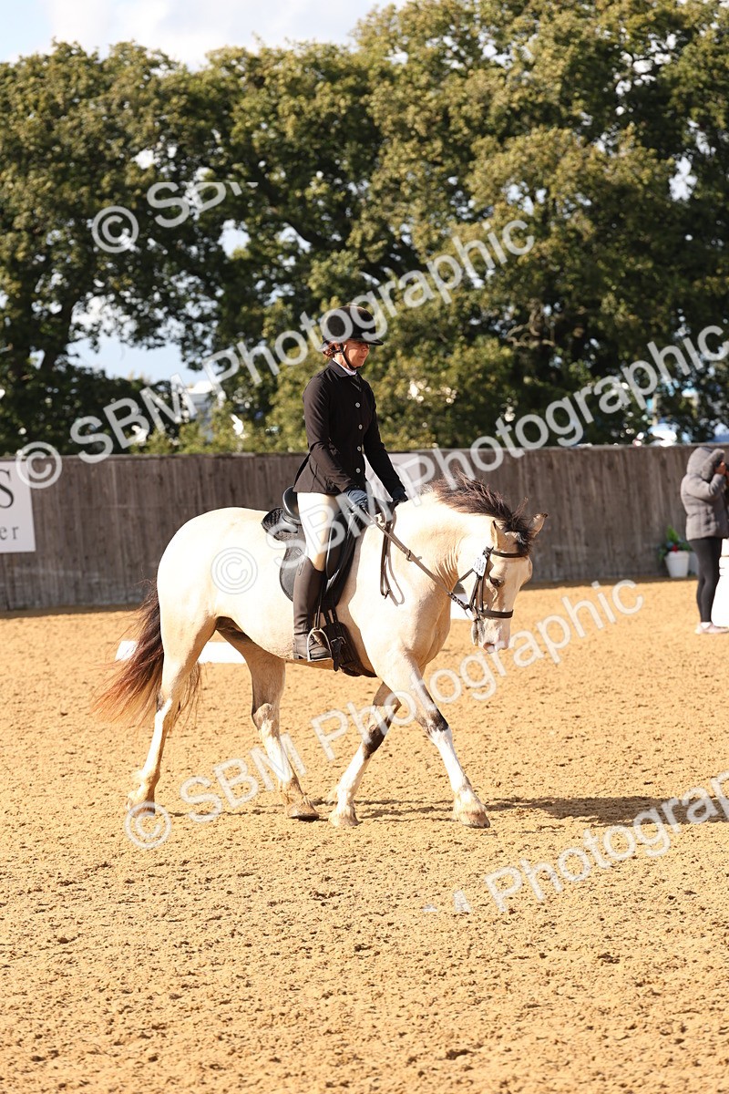 SBM_50385 - D12 - Small Tour Championship prelim 2