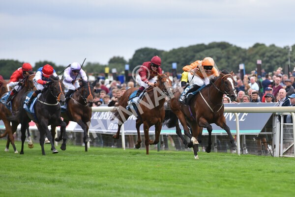 yr17082022r7-30 - Race 7 5.20pm Sky Bet Nursery Handicap