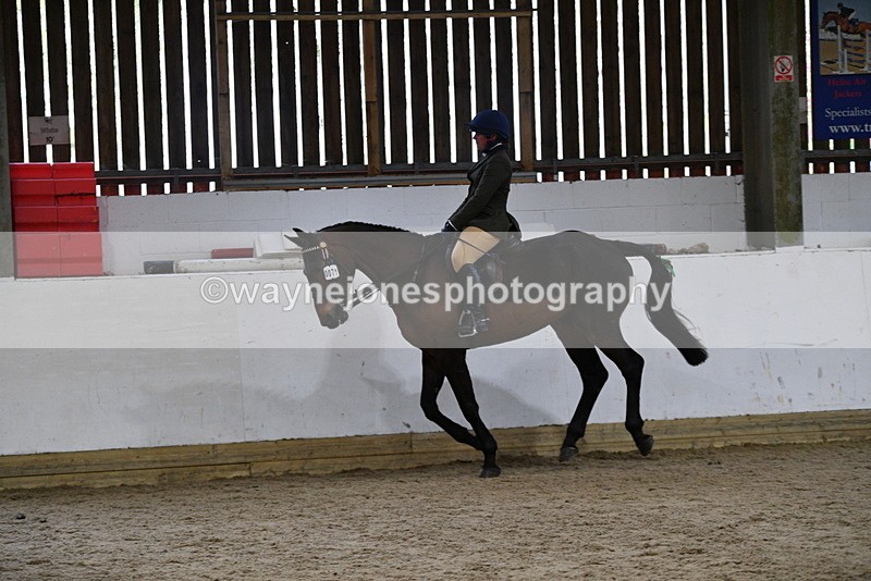 WJ5_8014 - Class 13 Ridden Part Breed