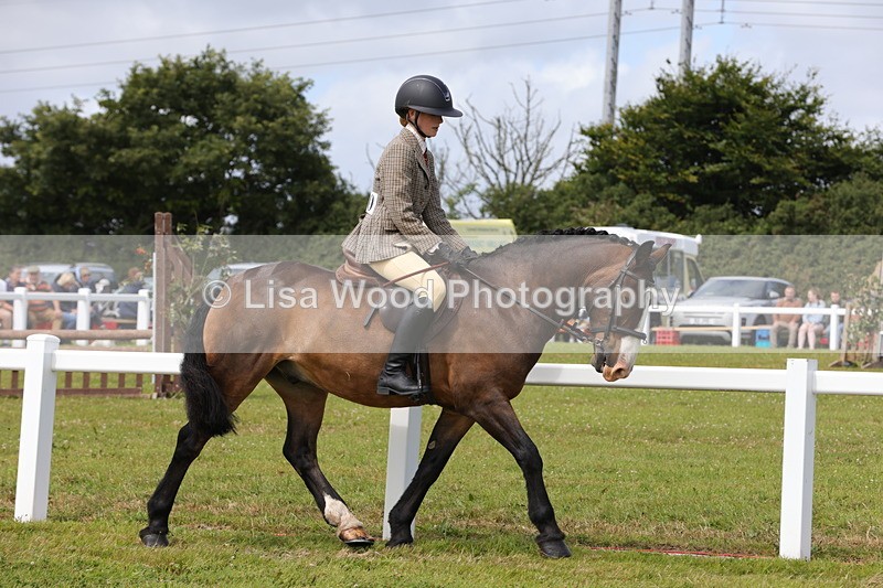 1X9A3958 - Class 32: Show Hunter Pony 153cm and under