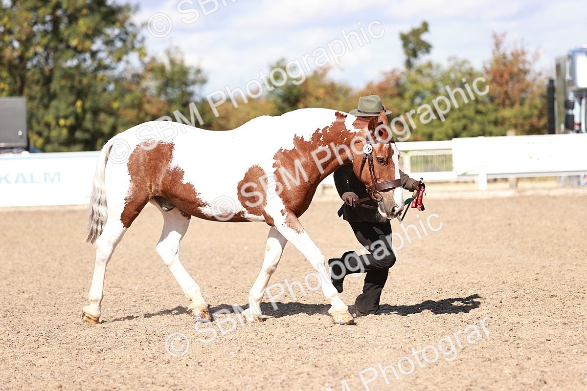 SBM_13259 - Class 405 - IH Show Cob