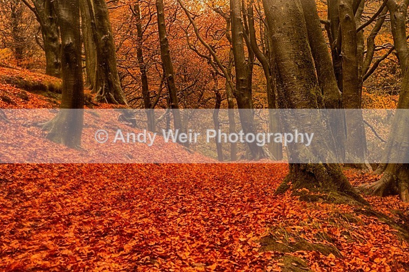 20121028-_MG_0699_HDR - England