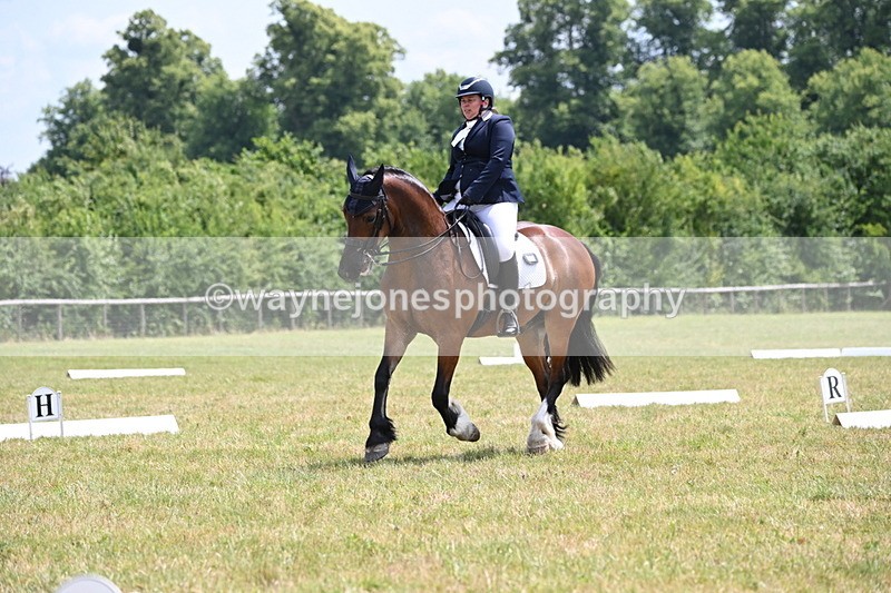 WJ6_7779 - Time 13:06 to 13:32