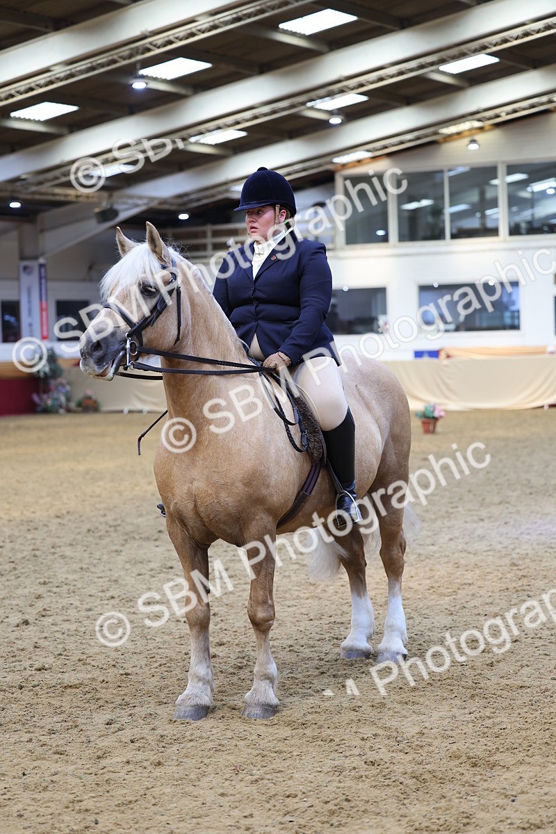 SBM_23948 - Class 905 - Supreme Final - Ridden Veteran
