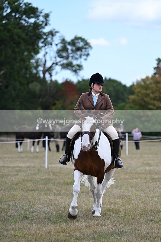 WJ7_5307 - Class 12 Ridden Cob