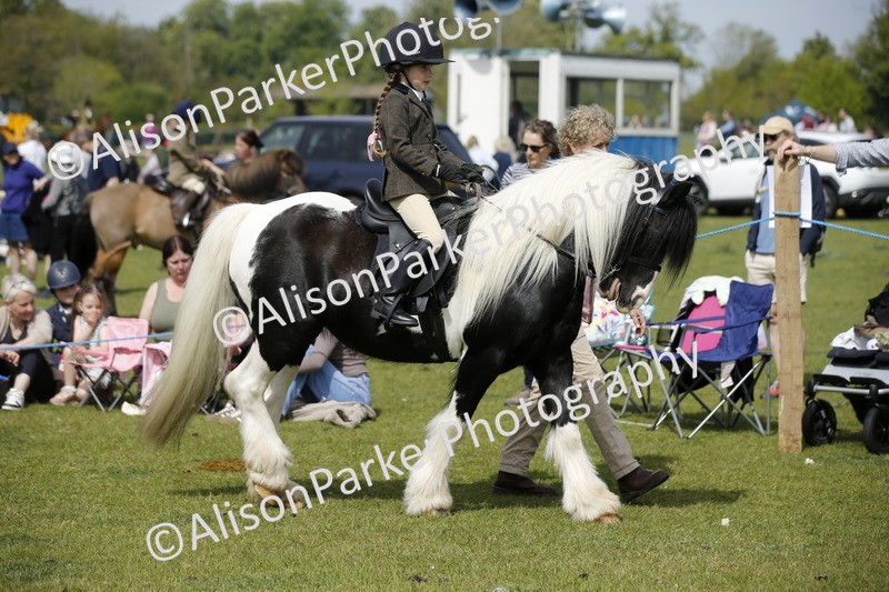 20260426-1841 - Class 7 - Pony Judge Would Most Like To Take Home