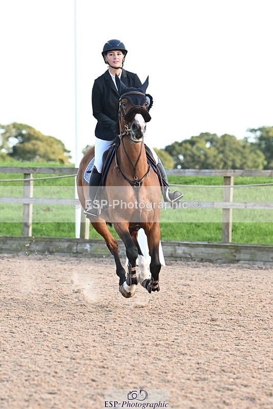 240913A-180115-05568 - Cls 19 Snr 1m Open Speed Derby