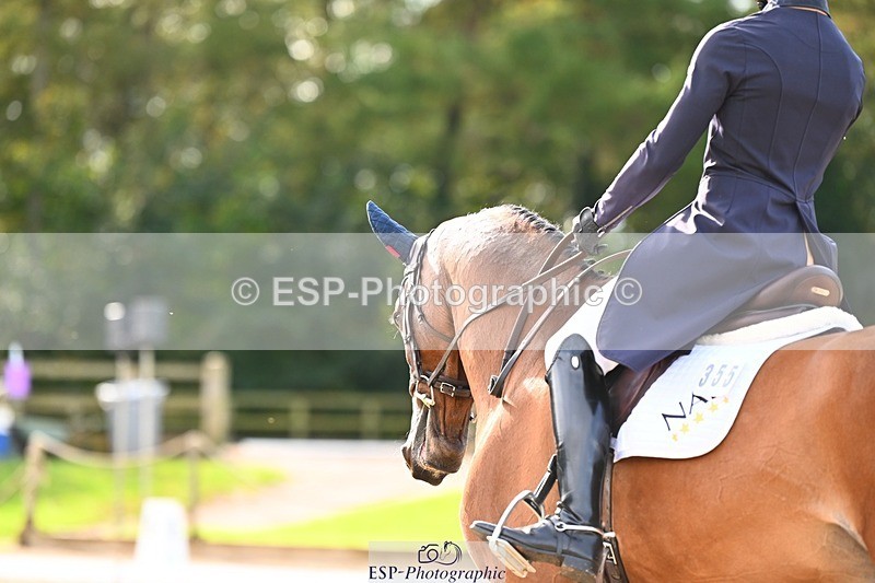 231021-141142-17789 - 355-ONE.LAST.BET.NJ-Alexander.Whewall-DR