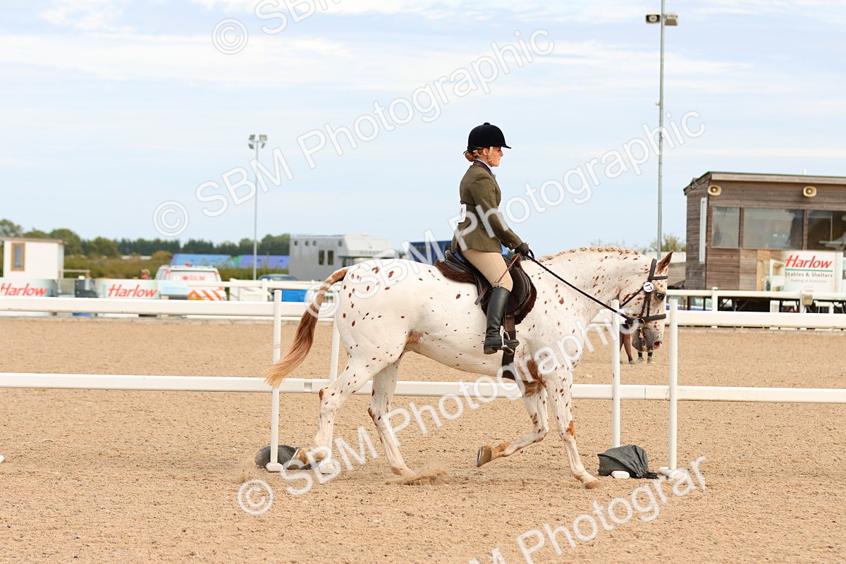 SBM_18192