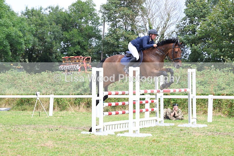 3E7A3433 - Class 10: Senior Foxhunter/1.20 open