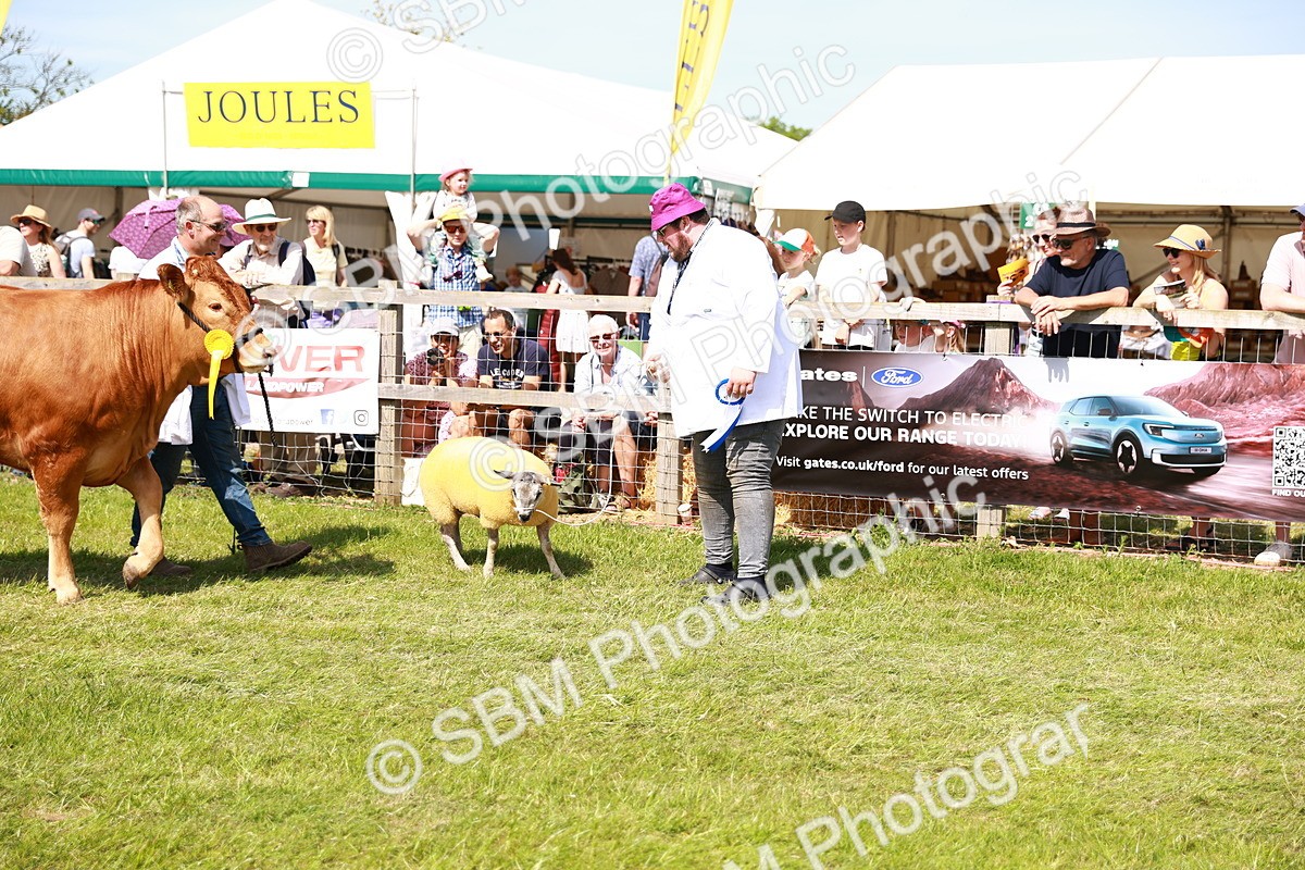 SBM_08324 - Grand Parade