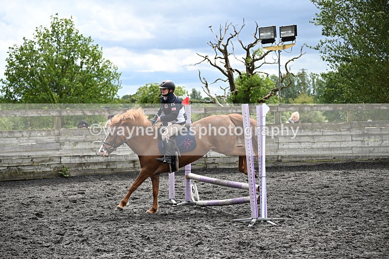 WJ6_0177 - Class 13 Novice 60cm