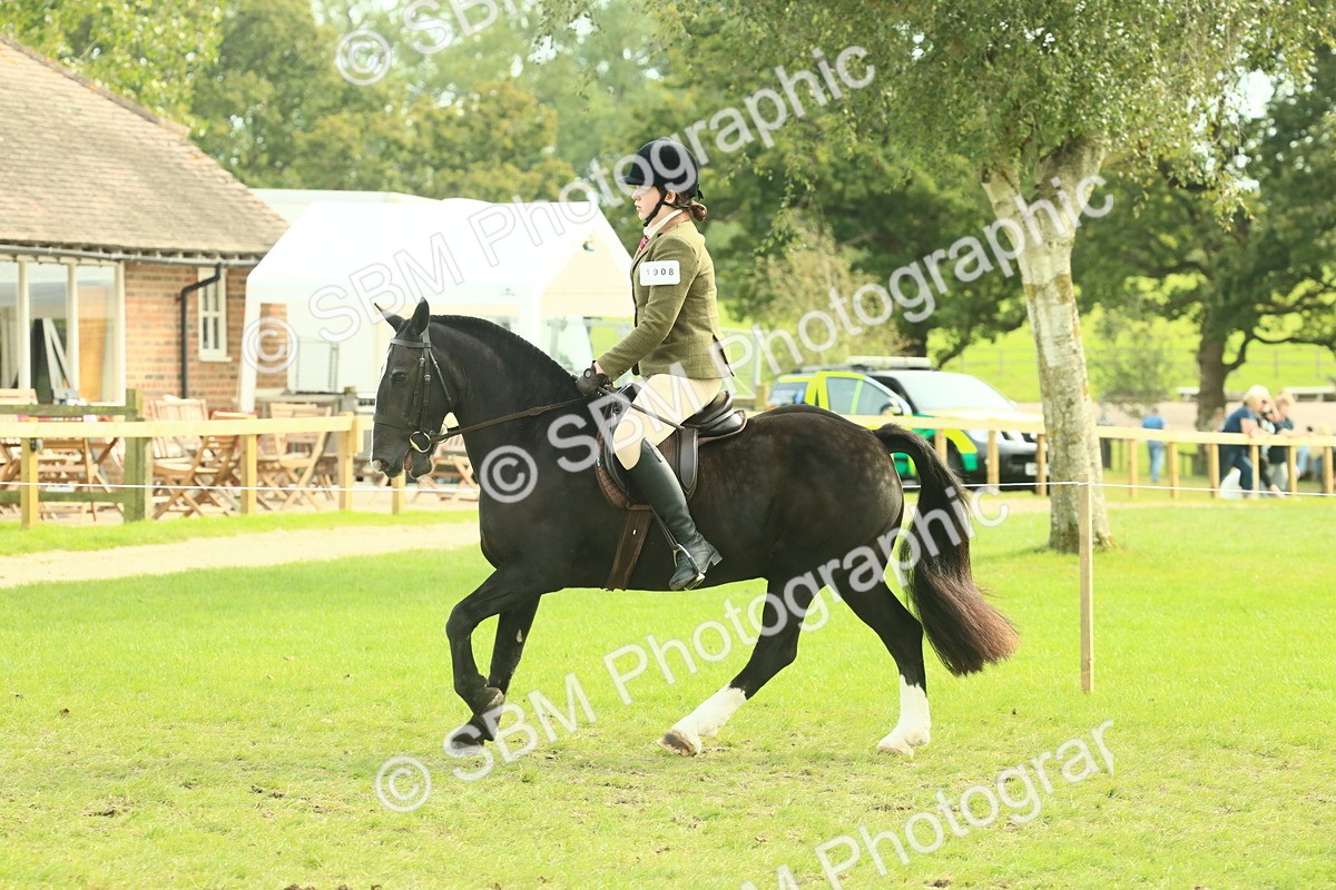 SBM_68250 - S58 - Mini Show Cob Ridden