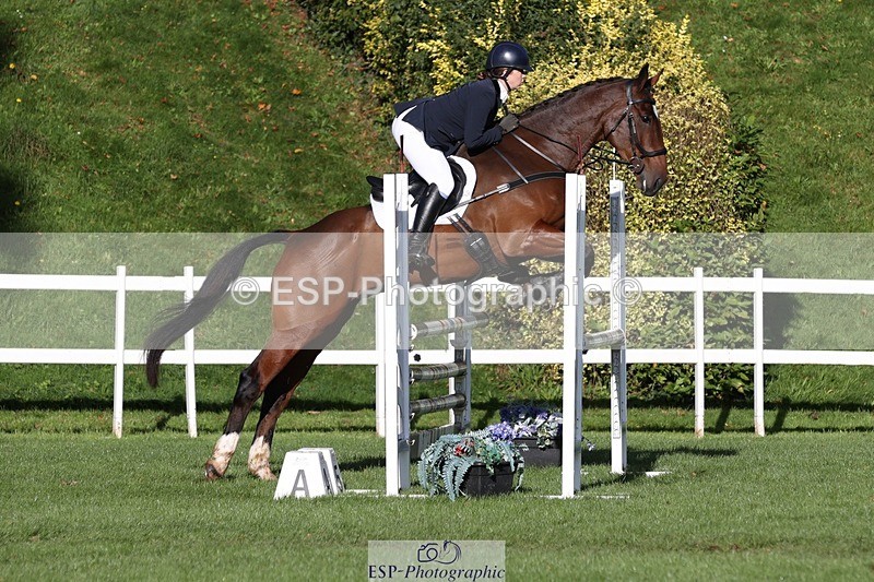 231022-102551-24522 - 627-UNNAMED.(815881)-Pollyanne.Adams-TrotUp+SJ