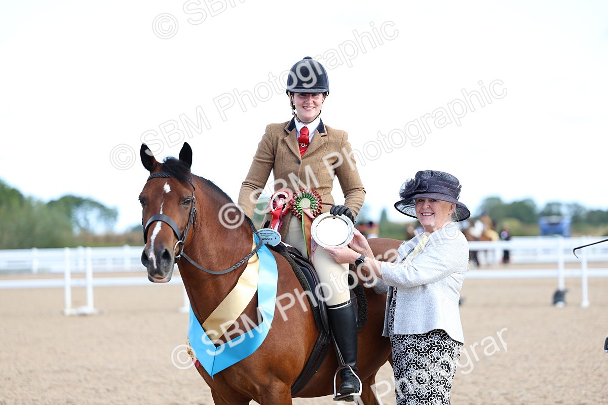 SBM_08963 - Class 302 - Ridden M&M - Large Breeds