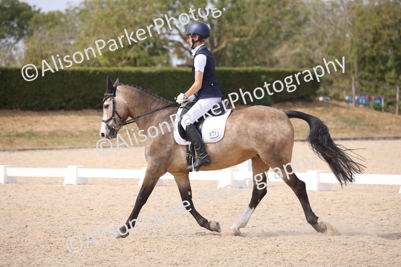 20260816-1156 - Class 4 - Novice 6