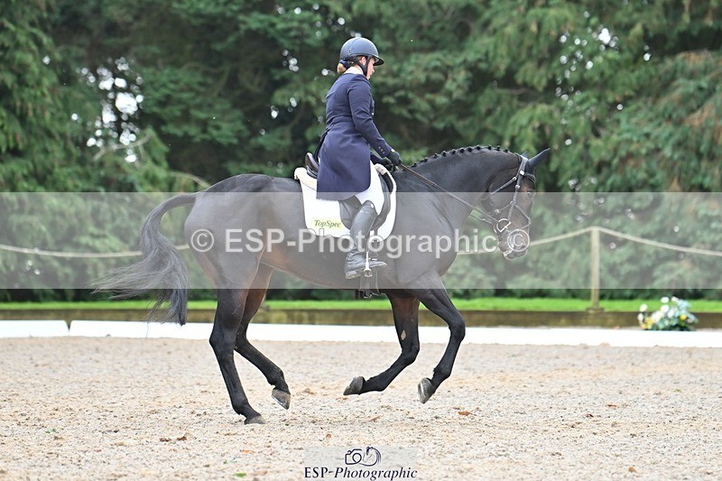 231019-130634-03284 - 121-KNOCKADERRY.MISTY.BAT-Harriet.Dickin-DR